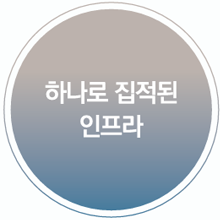 하나로 집적된 인프라