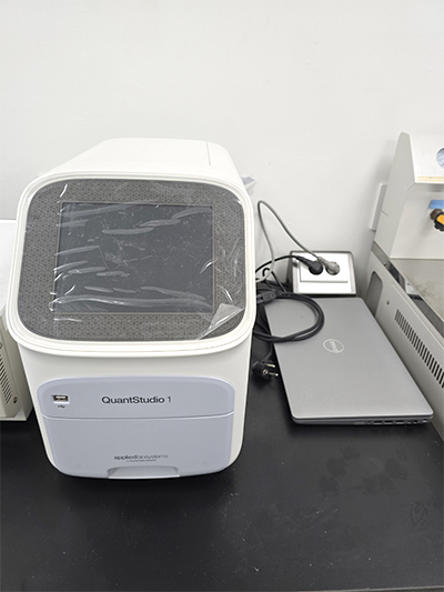 효소 공학 및 생물공정 연구실_RT PCR