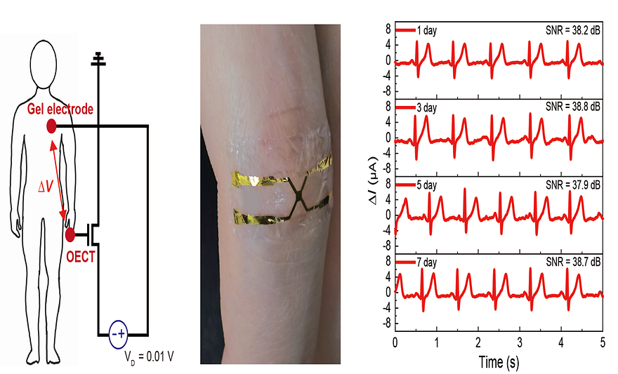 박성준 교수팀, 낮은 전력으로도 정확·안정적으로 구동가능한 정밀전자피부(e-skin) 개발