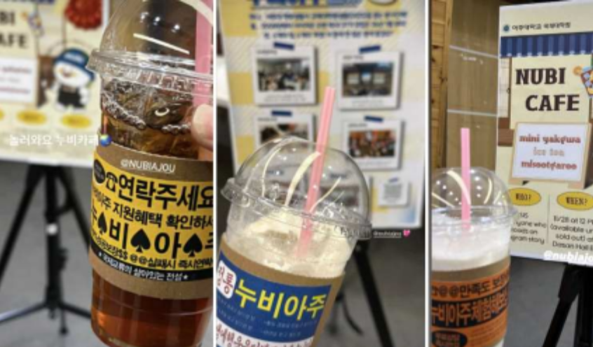 누비아주 일일카페