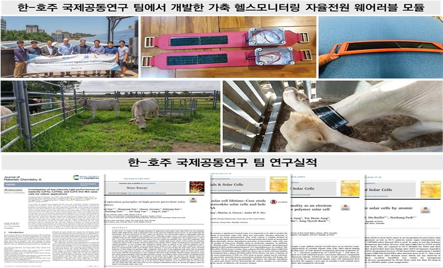 金钟铉教授研究组研发出可用于家畜健康诊断的穿戴式模块核心技术